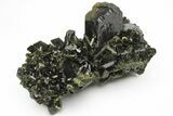 Lustrous, Epidote Crystal Cluster on Actinolite - Pakistan #213438-1